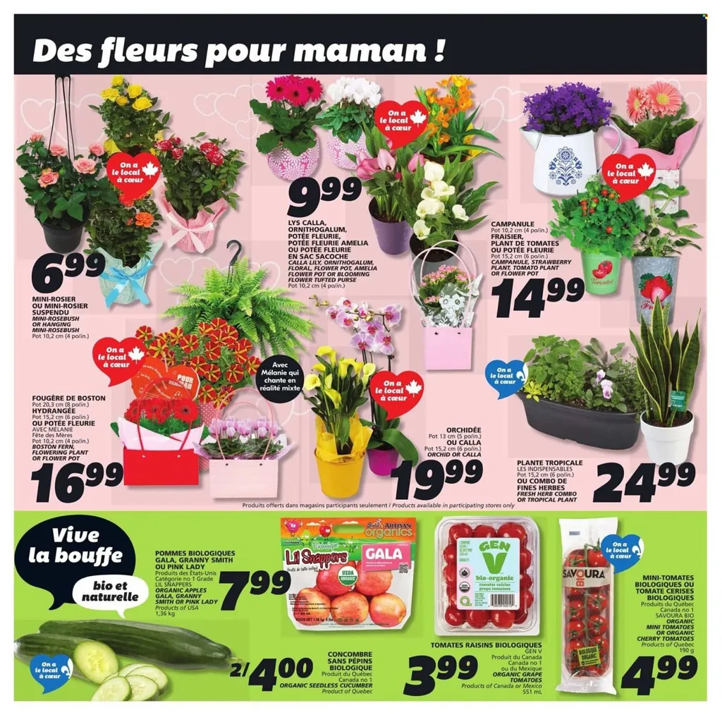 IGA flyer