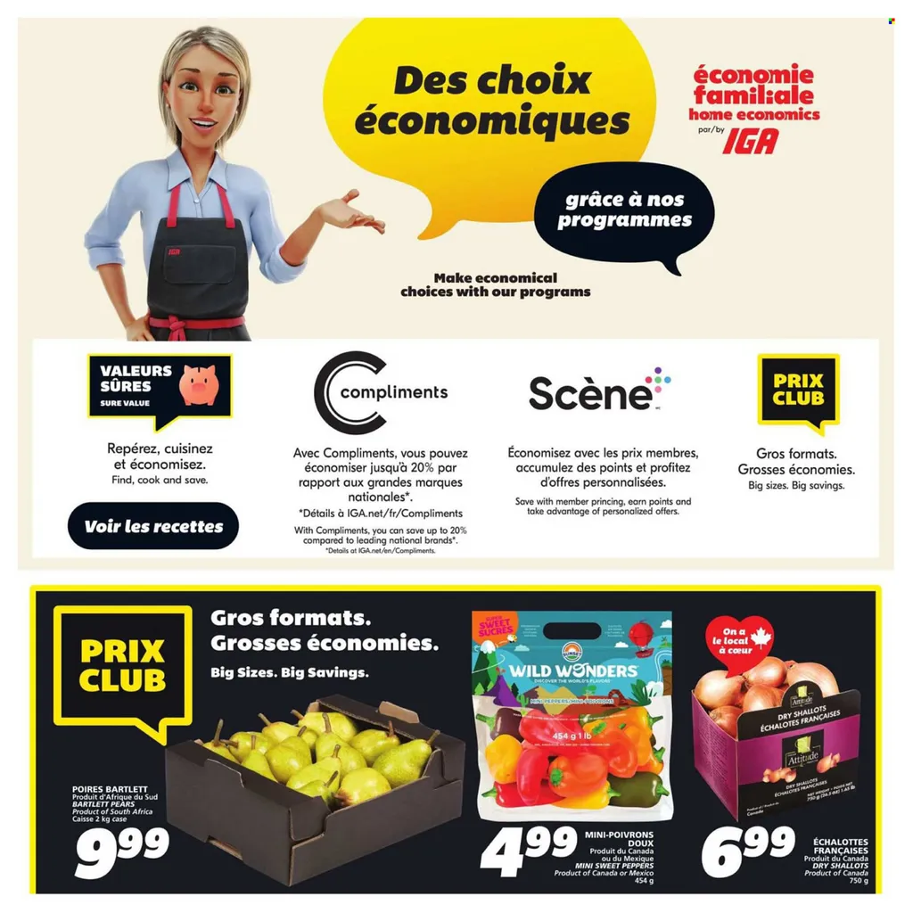 IGA flyer