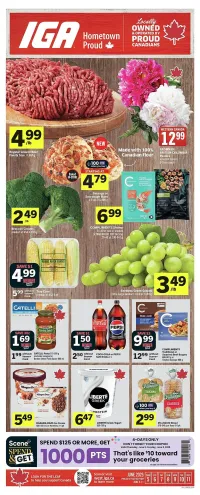 IGA flyer