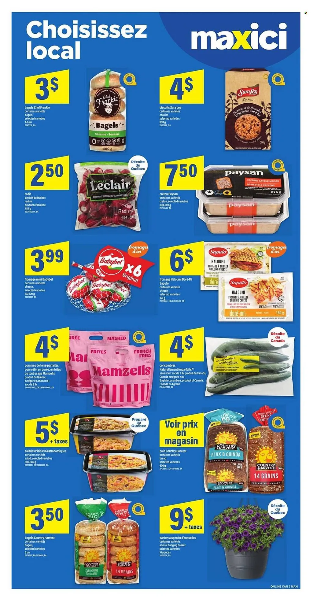 Maxi flyer