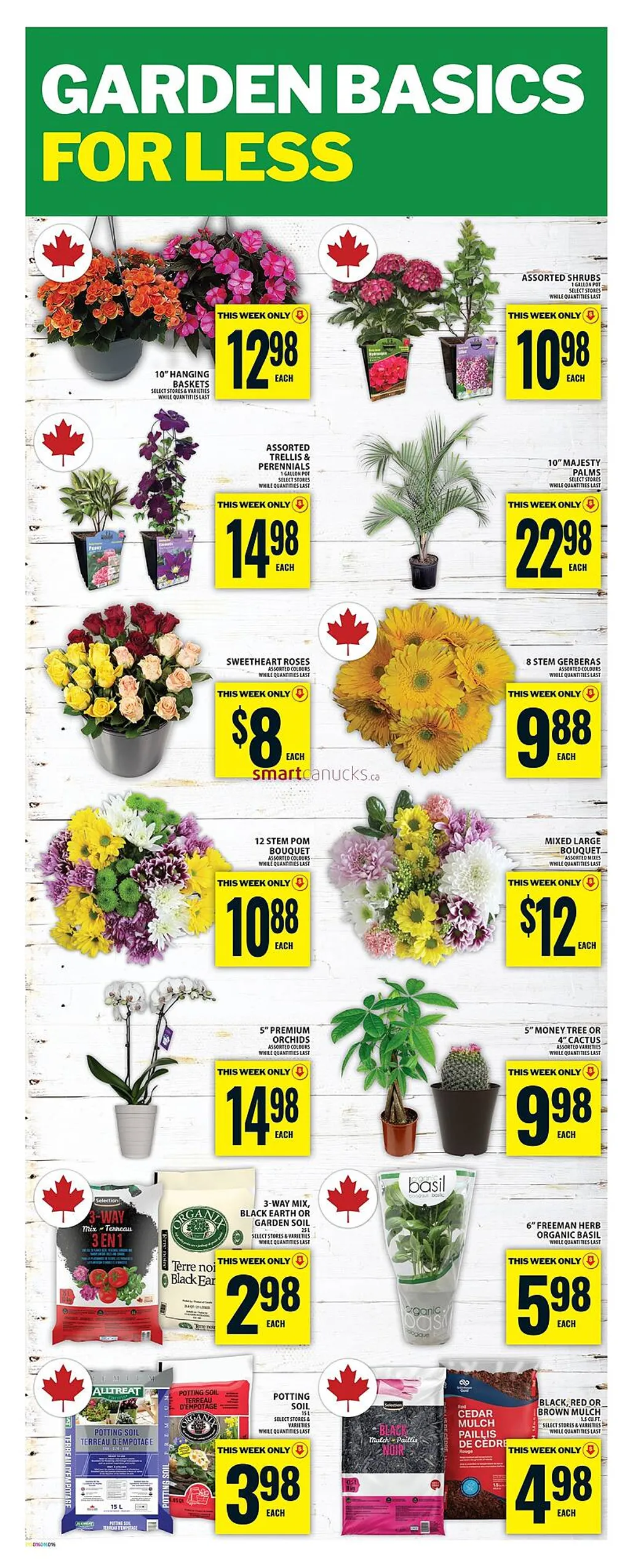 Food Basics flyer