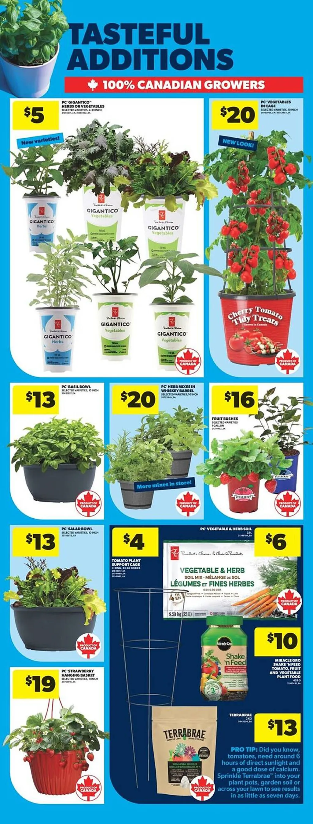 Real Canadian Superstore flyer