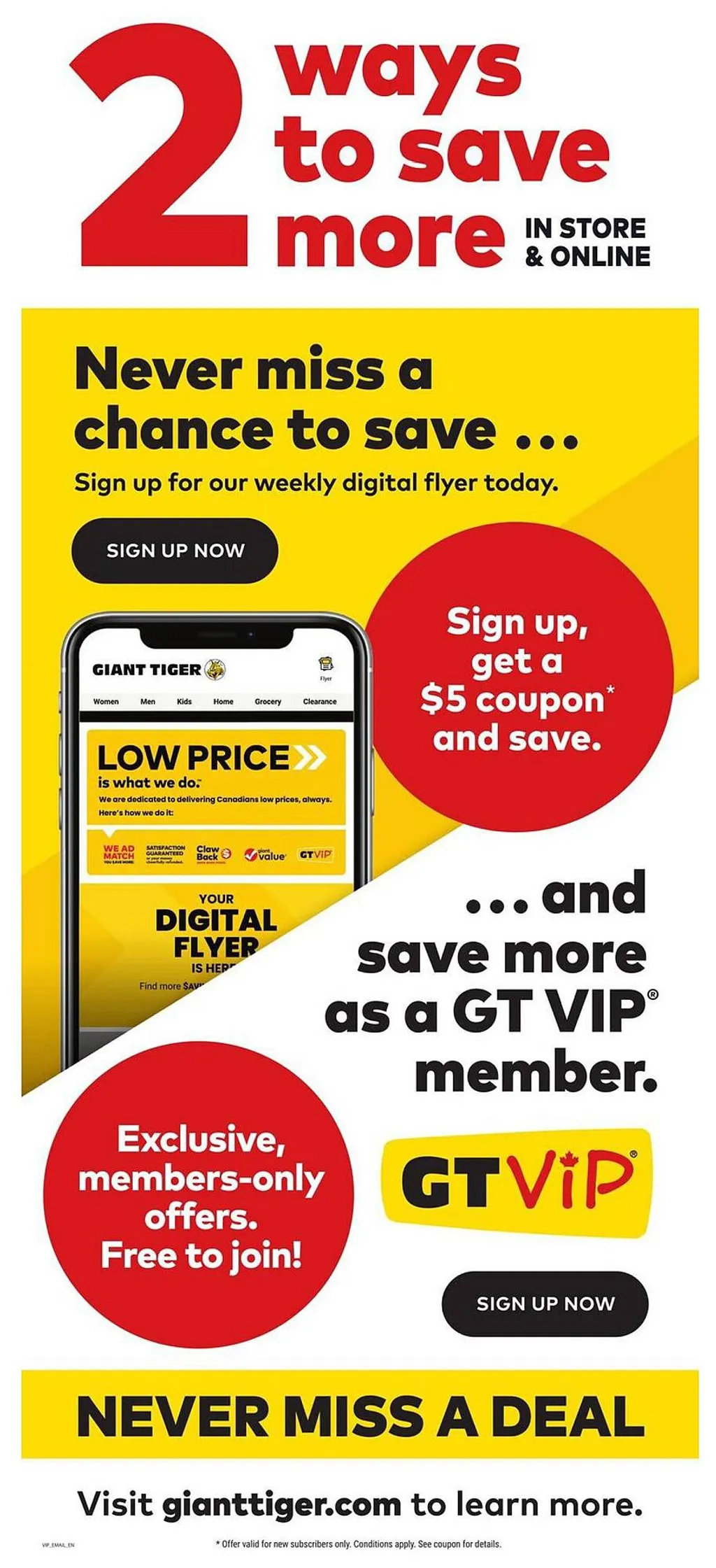 Giant Tiger on flyer