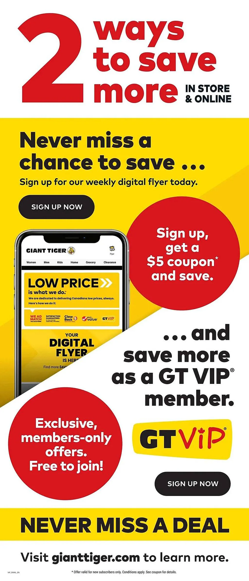 Giant Tiger flyer
