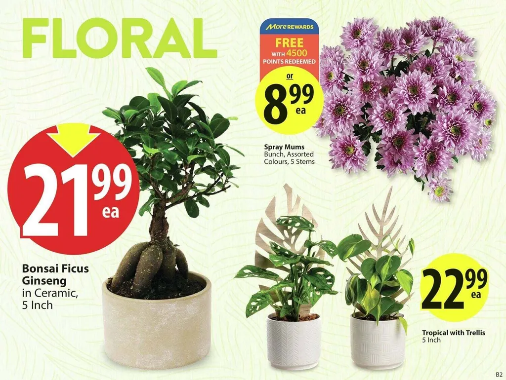 Save on Foods flyer