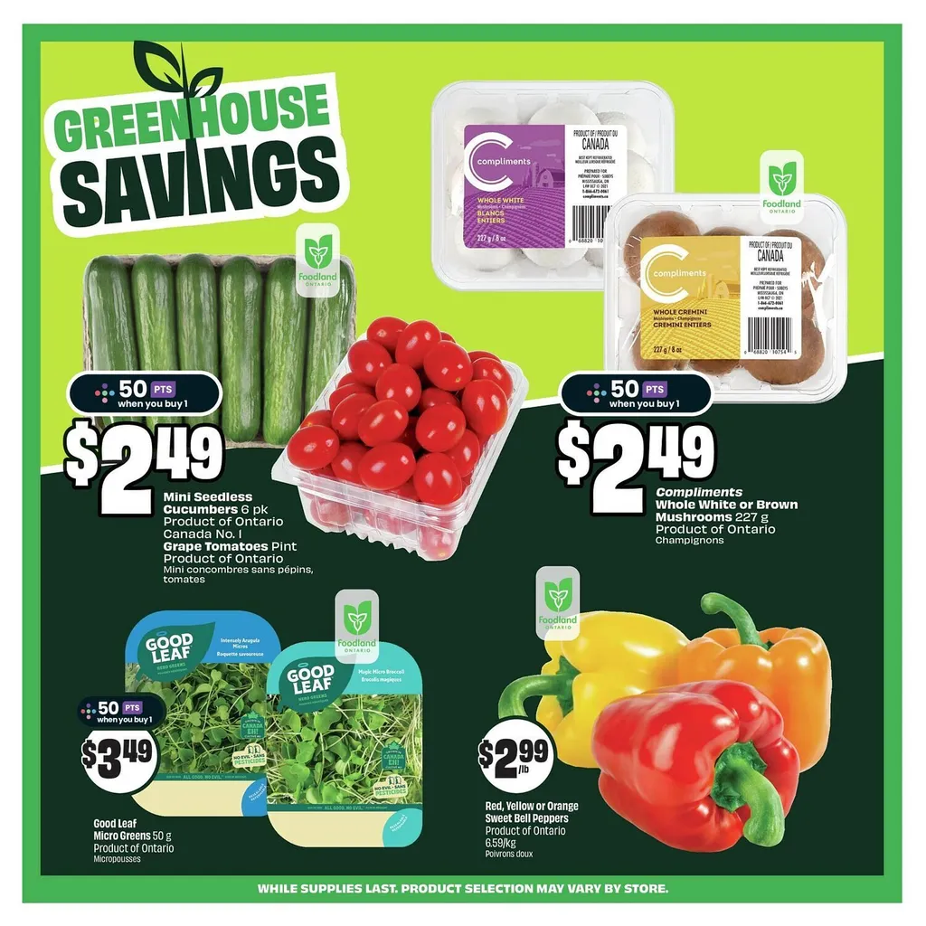 FreshCo flyer