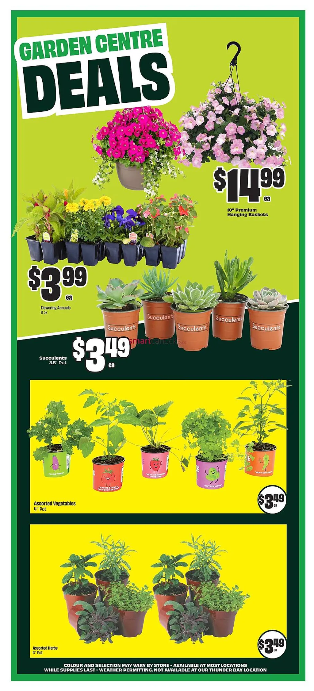 FreshCo Chalo Flyer