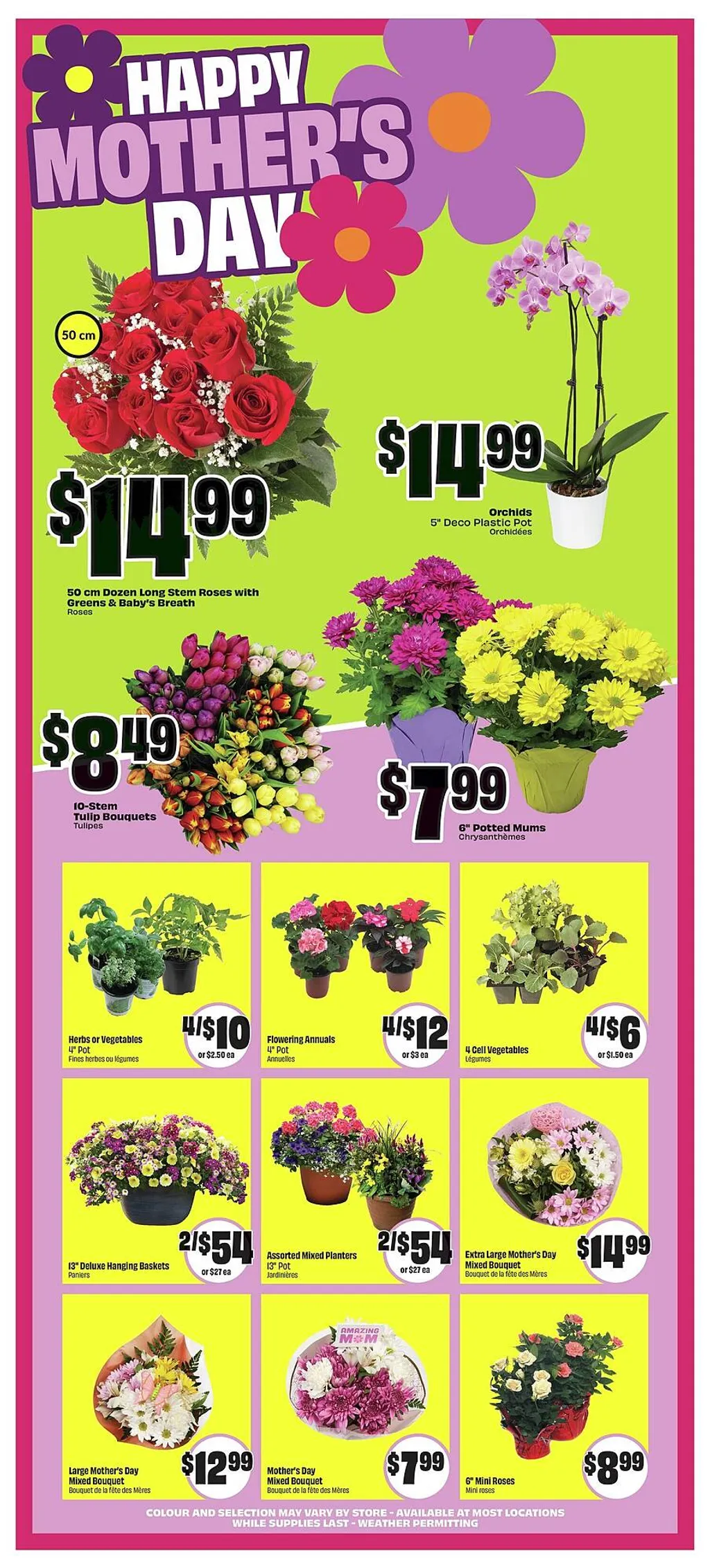 FreshCo Chalo weekly flyer