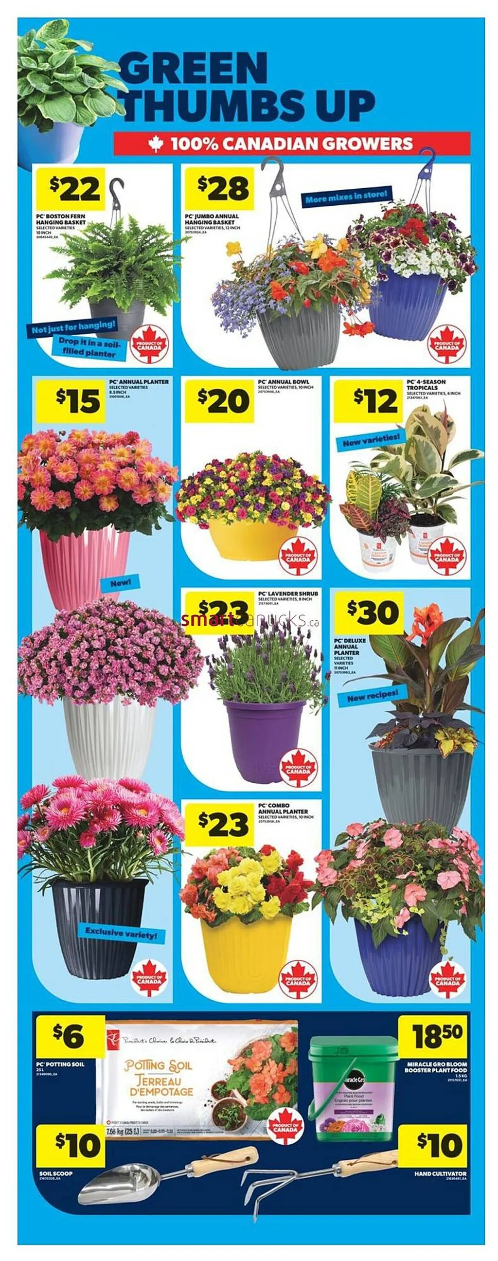 Real Canadian Superstore weekly flyer