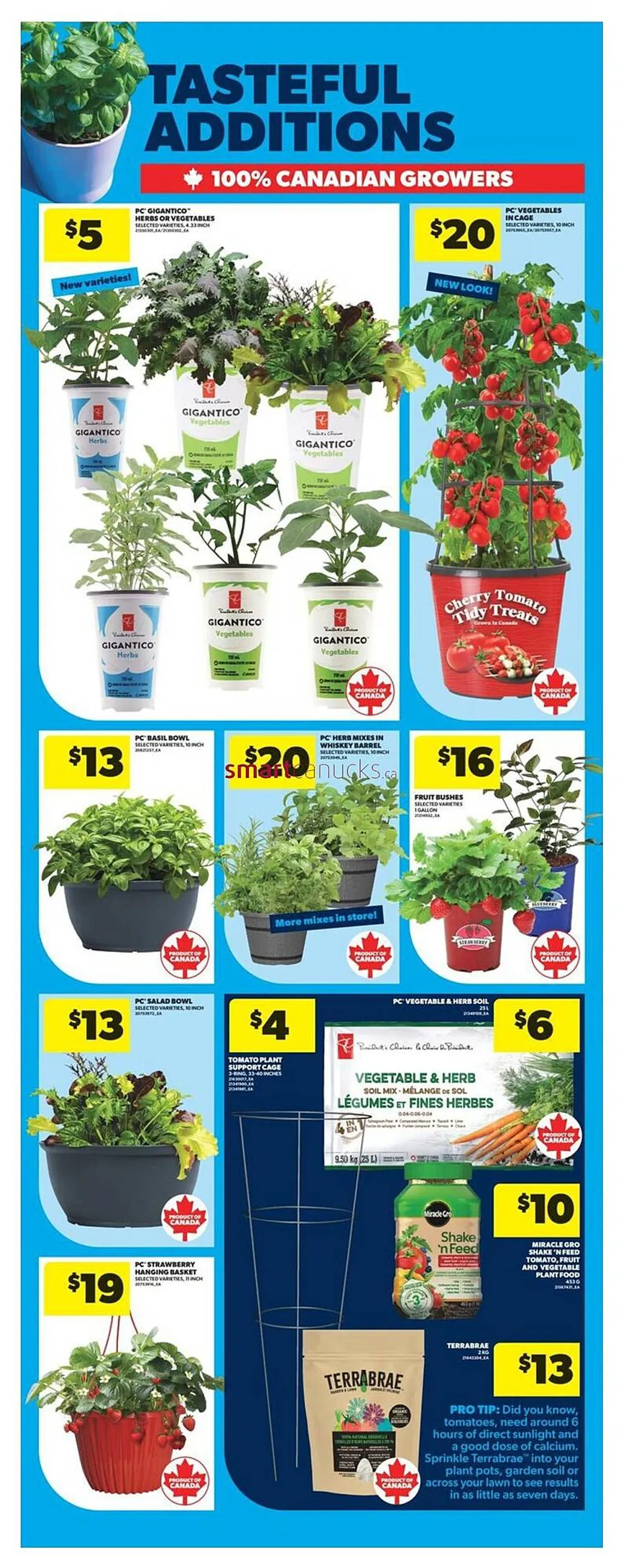Real Canadian Superstore weekly flyer