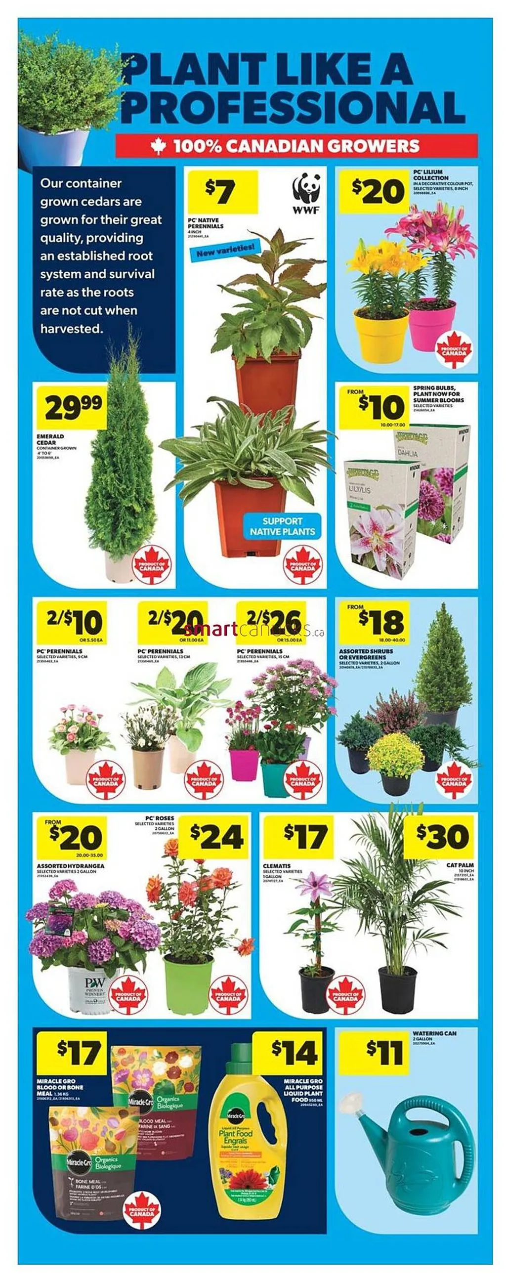 Real Canadian Superstore weekly flyer