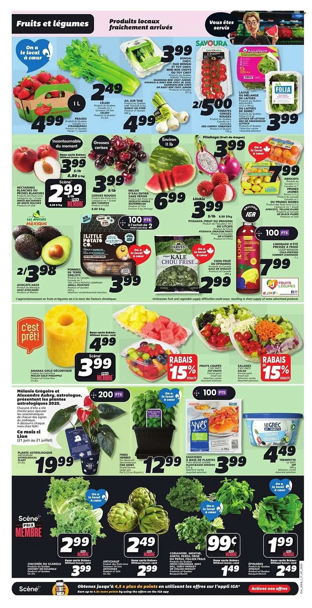 IGA Flyer - Page 1