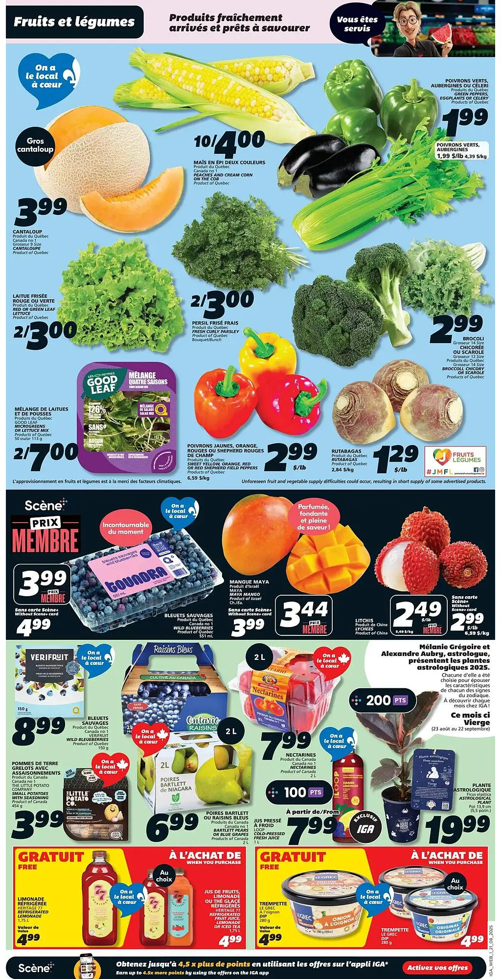 IGA Flyer - Page 3