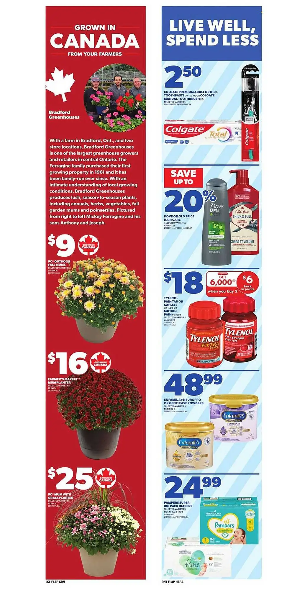 Loblaws Weekly Flyer - Page 1