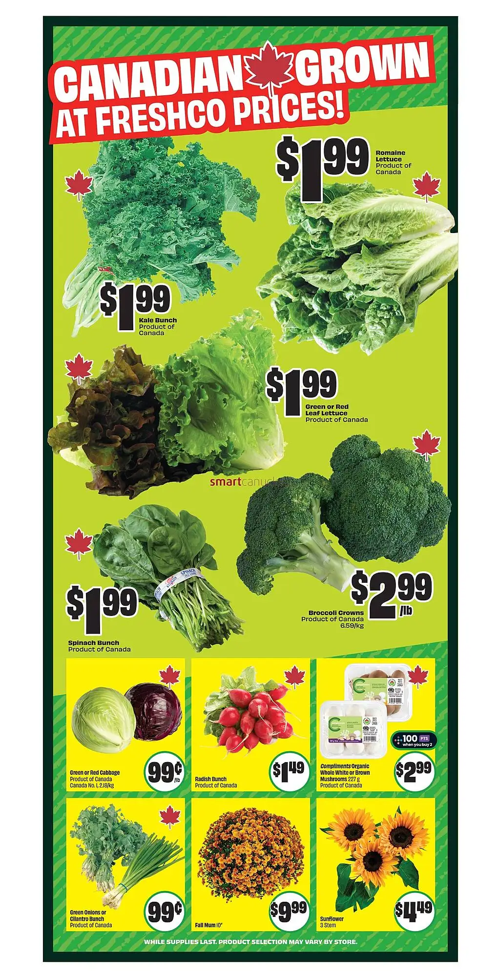 Chalo FreshCo Flyer - Page 1