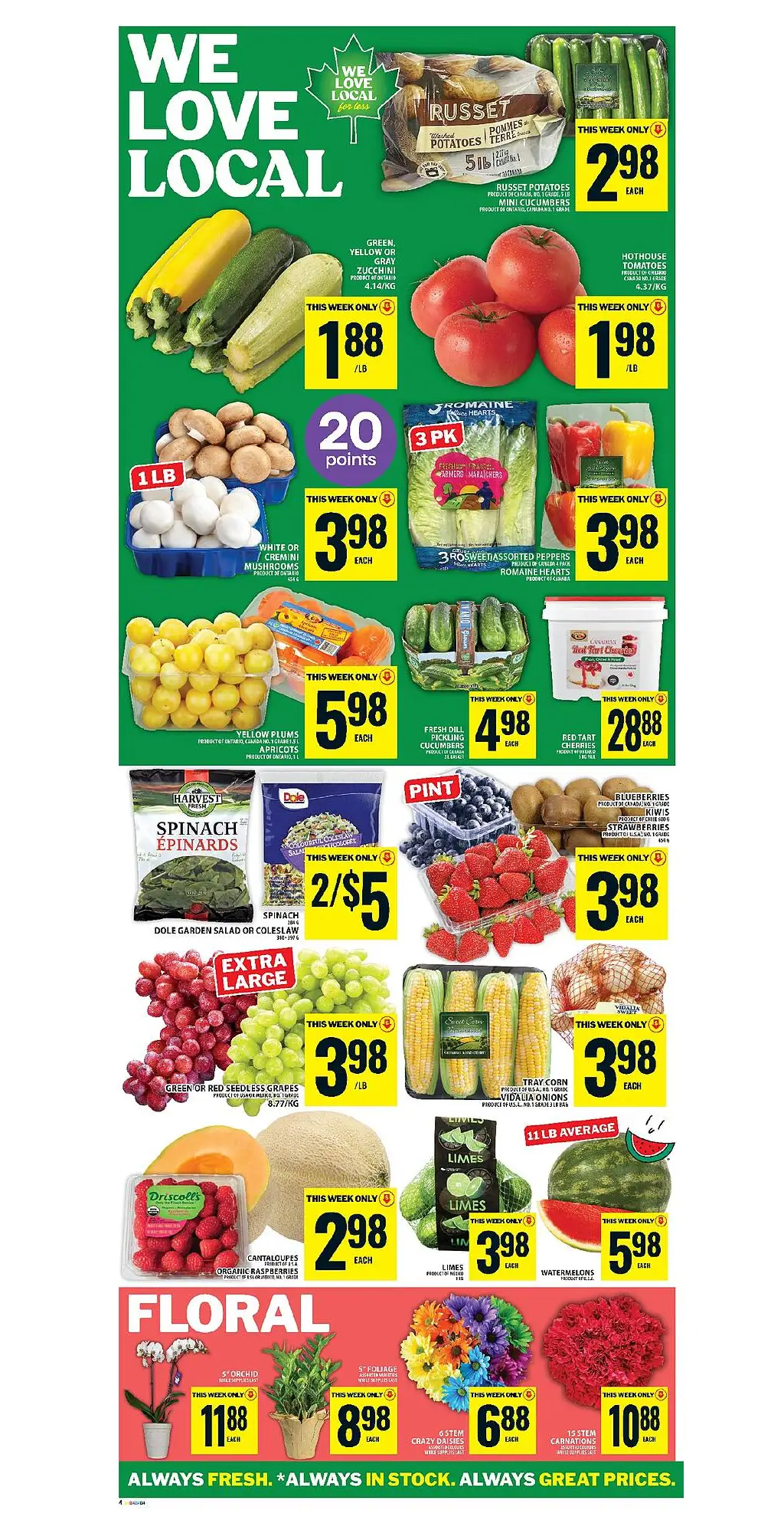 Food Basics Flyer - Page 1