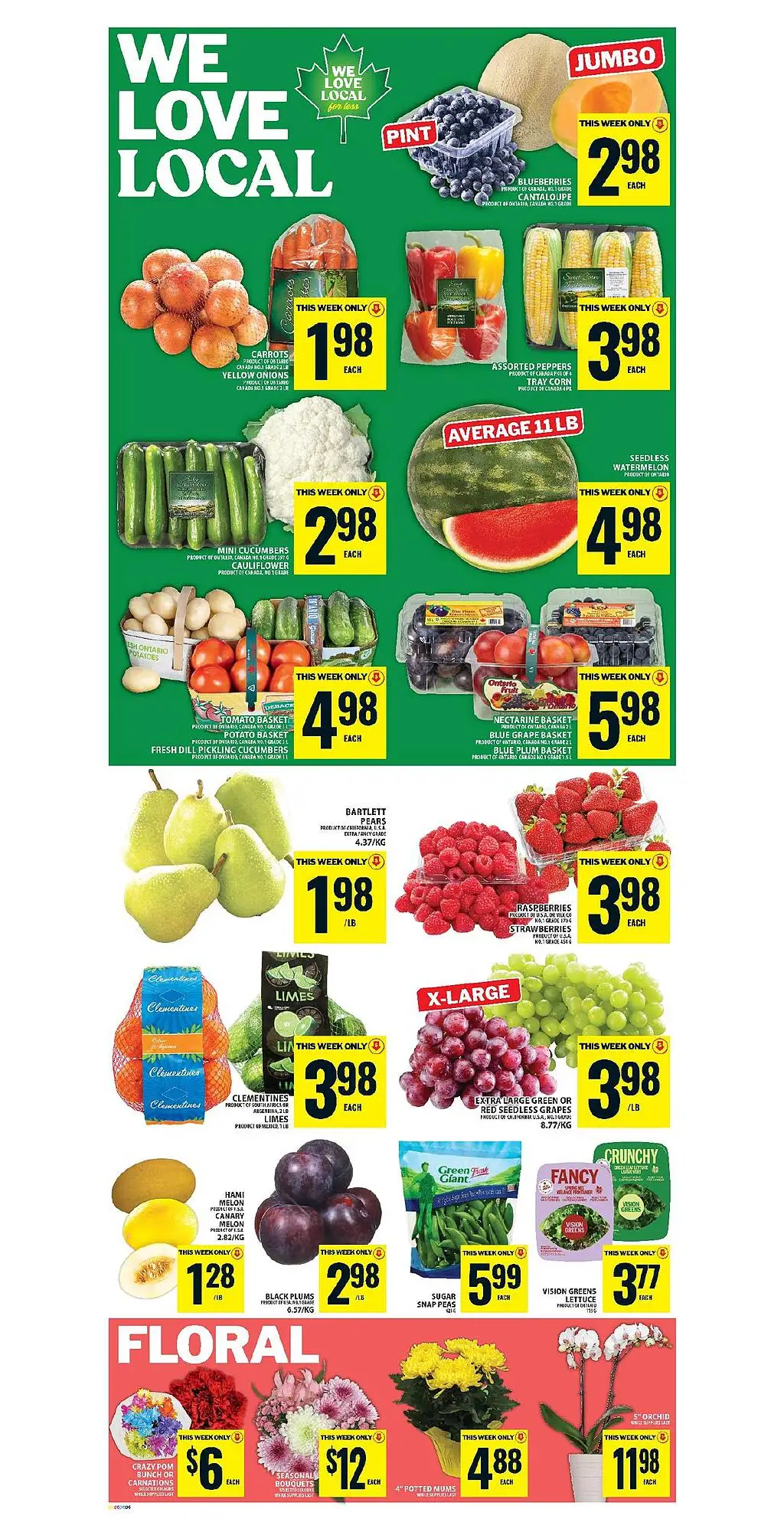 Food Basics Weekly Flyer - Page 1