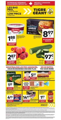 Giant Tiger Weekly Flyer