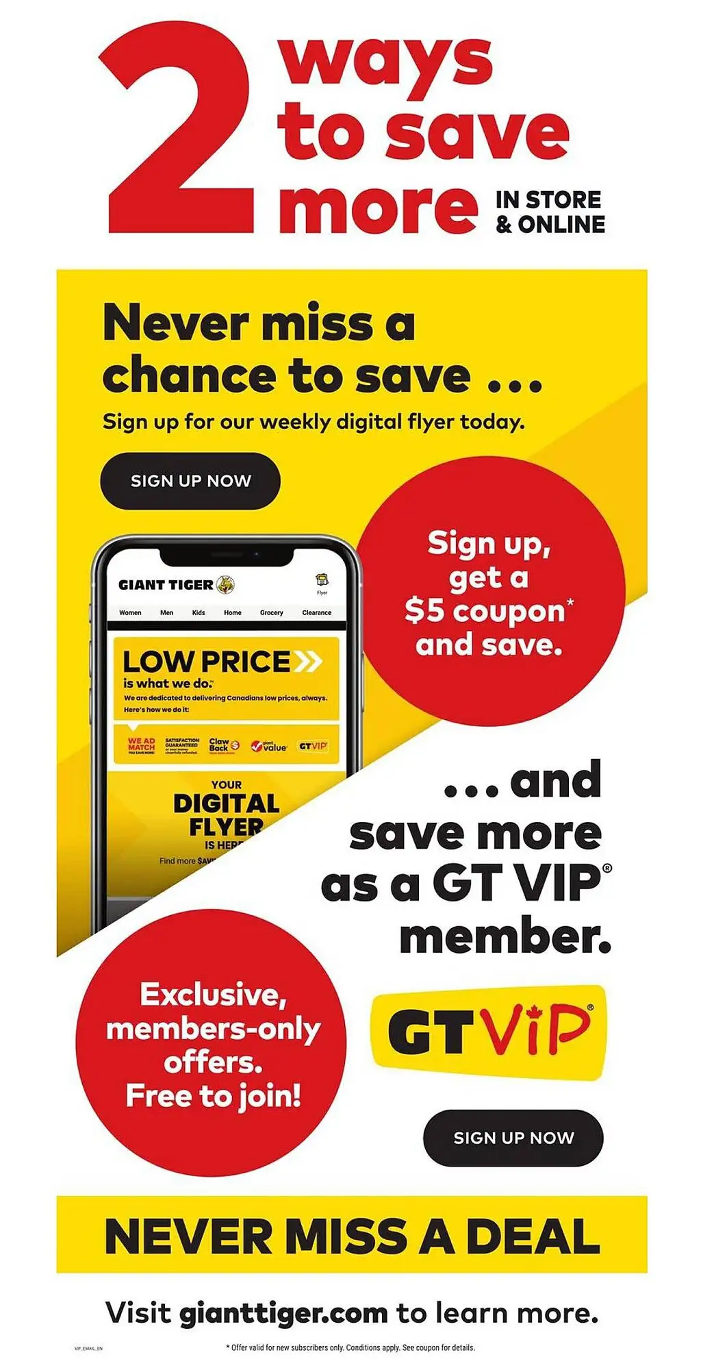 Giant Tiger Flyer - Page 1