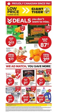 Giant Tiger Weekly Flyer