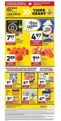 Giant Tiger Weekly Flyer
