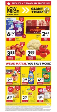 Giant Tiger Weekly Flyer