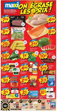 Maxi Flyer 