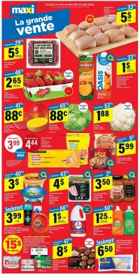 Maxi Flyer